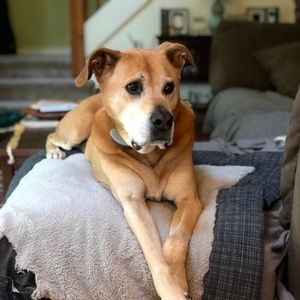 Meet your Posher, Danielle